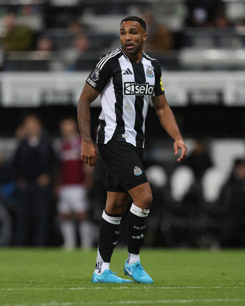 和团队坚毅 和团队坚毅